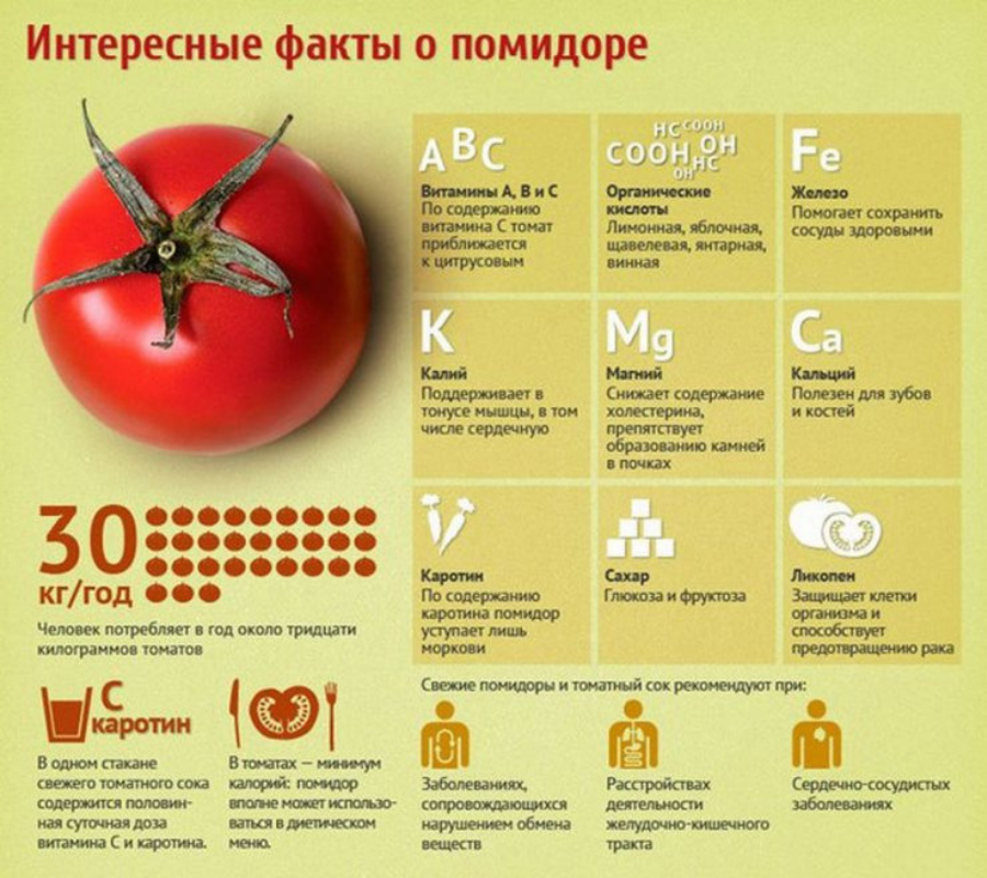 Интересные факты о помидорах
