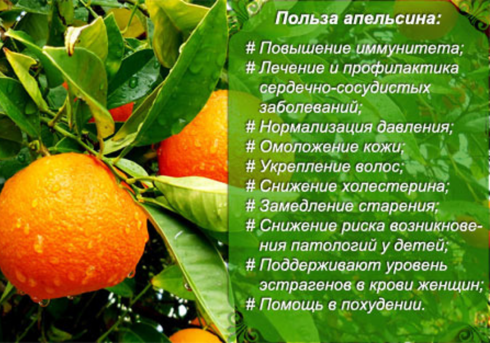 Польза апельсина