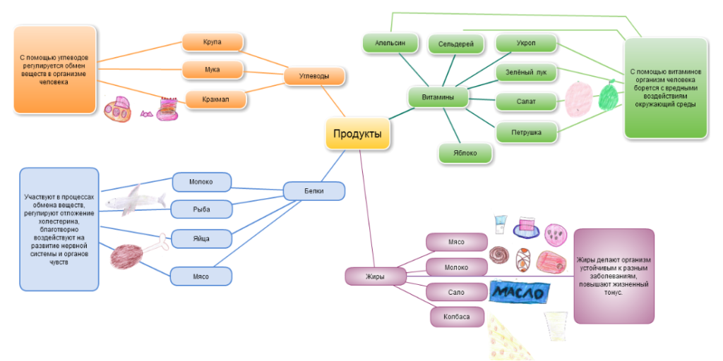 Схема распределения продуктов на жиры, белки, углеводы и витамины