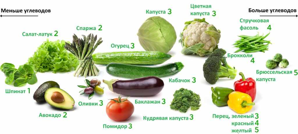 Содержание углеводов в овощах